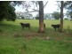 122 Fraser Road, Dunoon NSW 2480