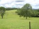 122 Fraser Road, Dunoon NSW 2480