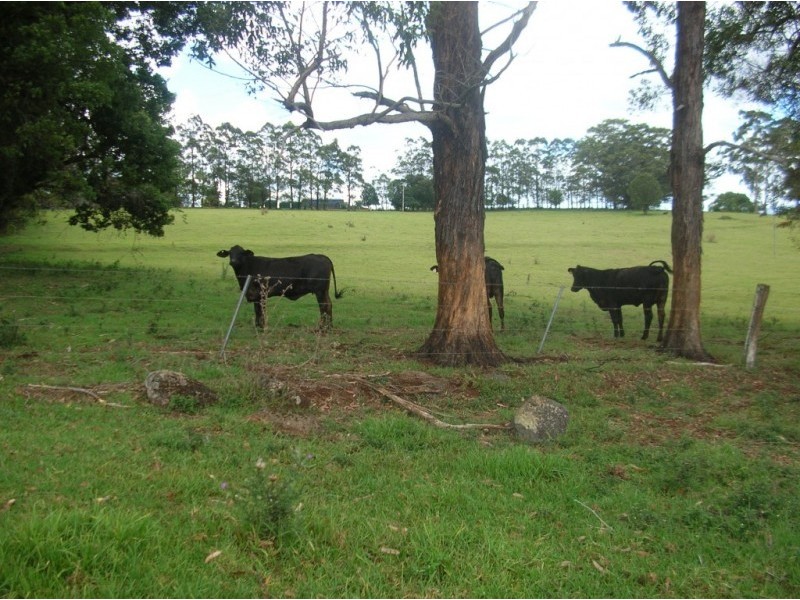 122 Fraser Rd, Dunoon NSW 2480