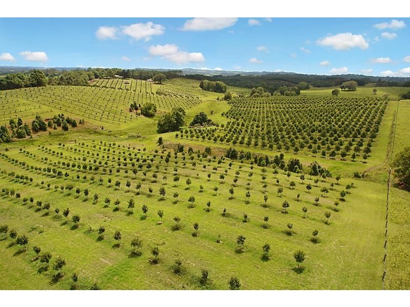 690 Cowlong Road, Eltham NSW 2480