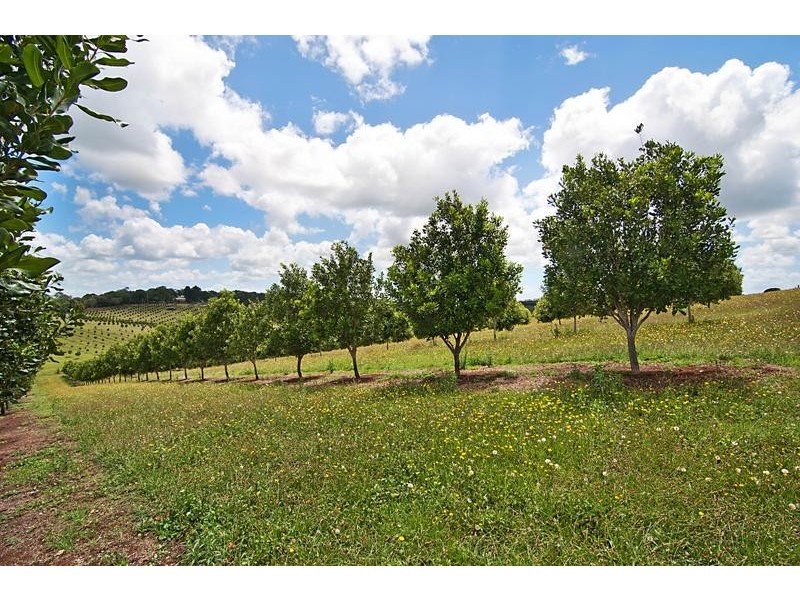 690 Cowlong Road, Eltham NSW 2480