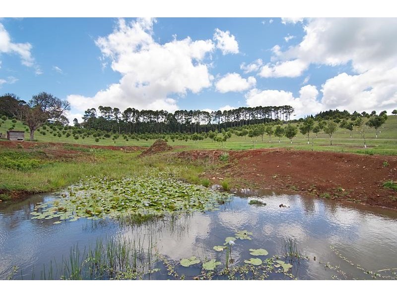 690 Cowlong Road, Eltham NSW 2480