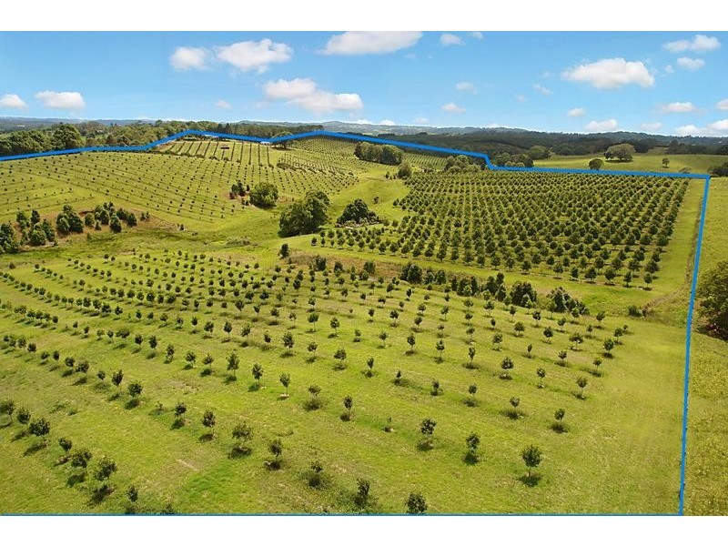 690 Cowlong Road, Eltham NSW 2480