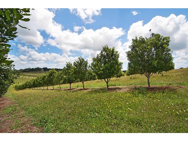 690 Cowlong Rd, Eltham NSW 2480