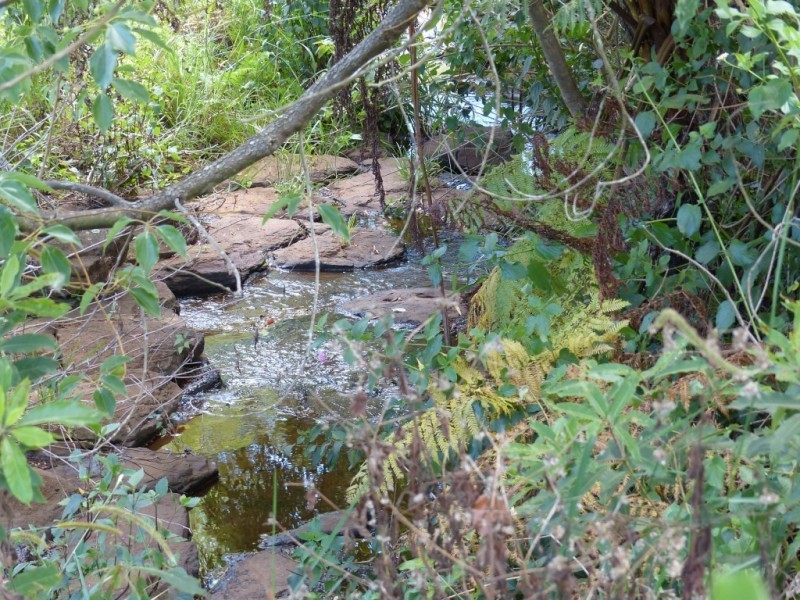 Lot 1 – 30 Spring Creek Place Estate, Wollongbar NSW 2477