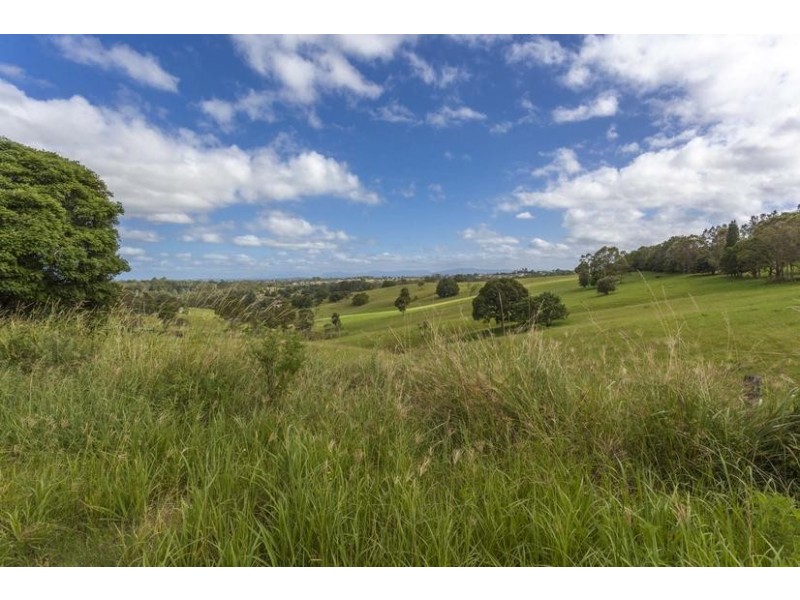 445 Rous Road, Tregeagle NSW 2480