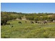 129 Mckinnons Road, Mcleans Ridges NSW 2480