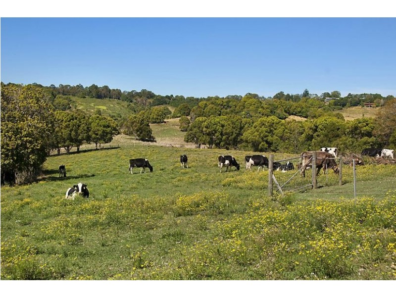 129 Mckinnons Road, Mcleans Ridges NSW 2480