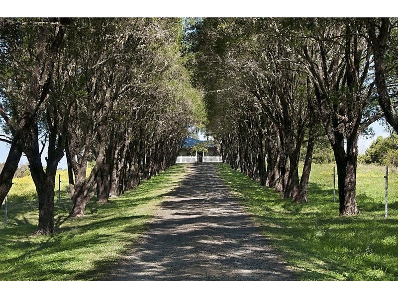 129 Mckinnons Road, Mcleans Ridges NSW 2480