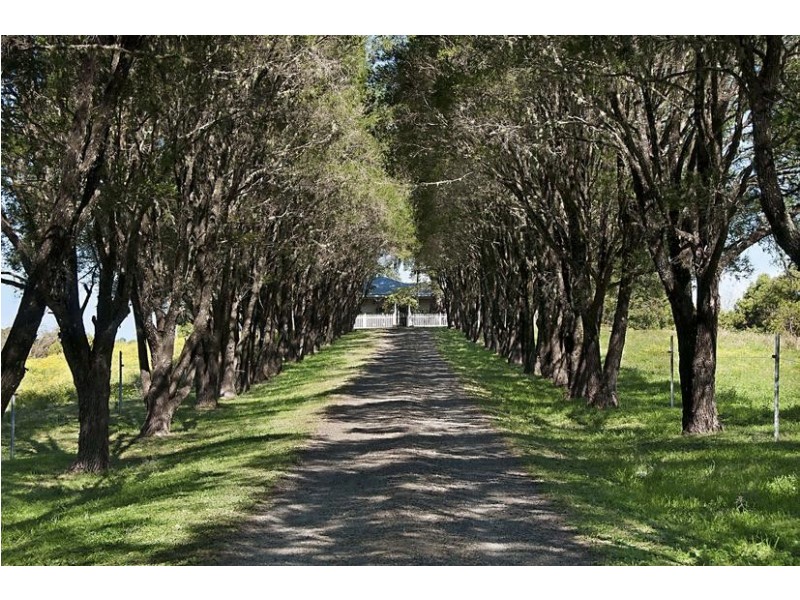 129 McKinnons Road, Mcleans Ridges NSW 2480