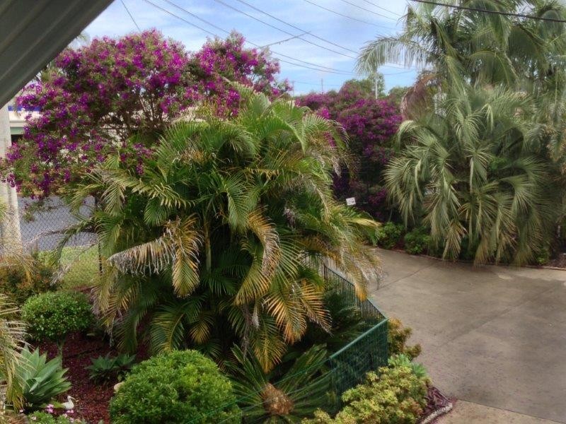 37 Lancaster Drive, Goonellabah NSW 2480