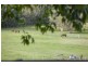 182 Tuckurimba Road, Tuckurimba NSW 2480