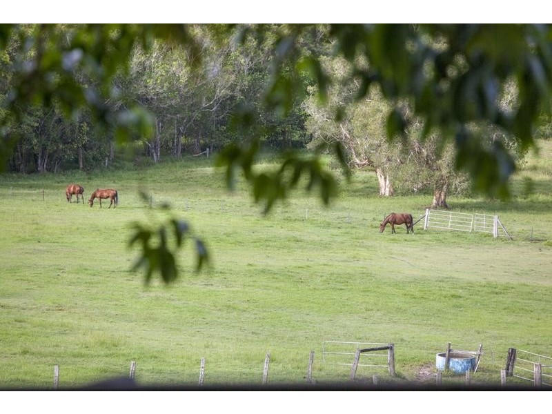 182 Tuckurimba Road, Tuckurimba NSW 2480