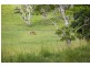 182 Tuckurimba Road, Tuckurimba NSW 2480
