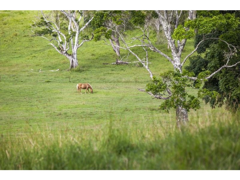 182 Tuckurimba Road, Tuckurimba NSW 2480