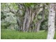 182 Tuckurimba Road, Tuckurimba NSW 2480