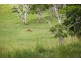 182 Tuckurimba Rd, Tuckurimba NSW 2480