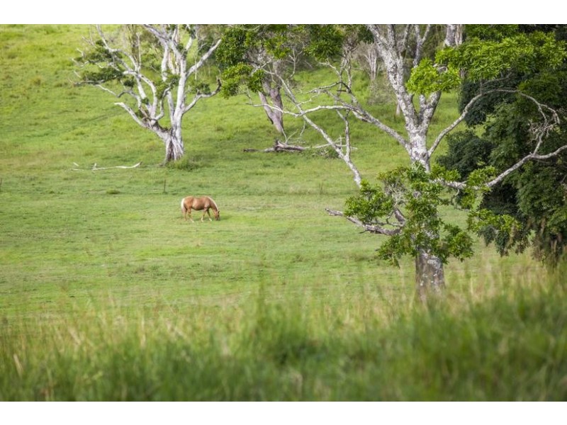 182 Tuckurimba Rd, Tuckurimba NSW 2480