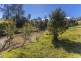 680 Boyle Road, Koonorigan NSW 2480