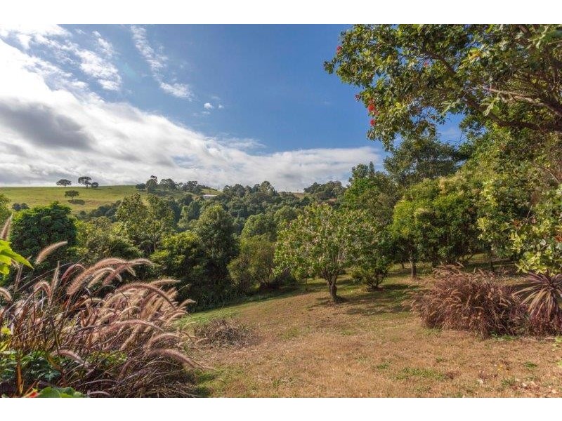 10 Carabeen Place, Mcleans Ridges NSW 2480