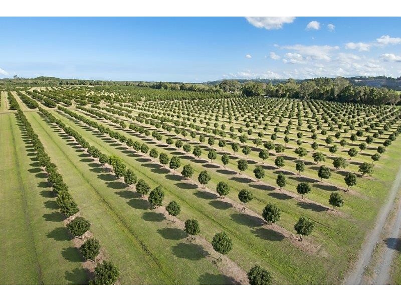 257 North Teven Road, Teven NSW 2478