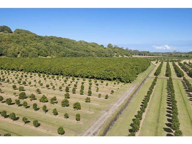 257 North Teven Road, Teven NSW 2478