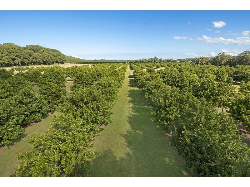 257 North Teven Road, Teven NSW 2478