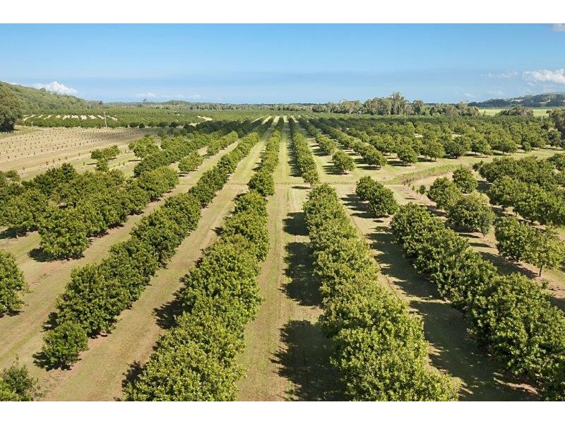 257 North Teven Road, Teven NSW 2478