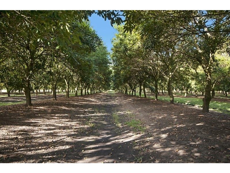 257 North Teven Road, Teven NSW 2478