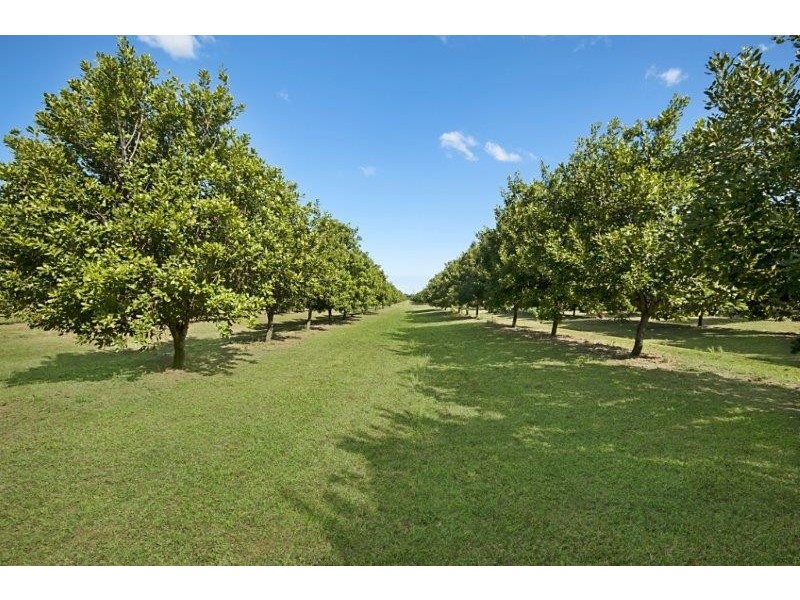 257 North Teven Road, Teven NSW 2478