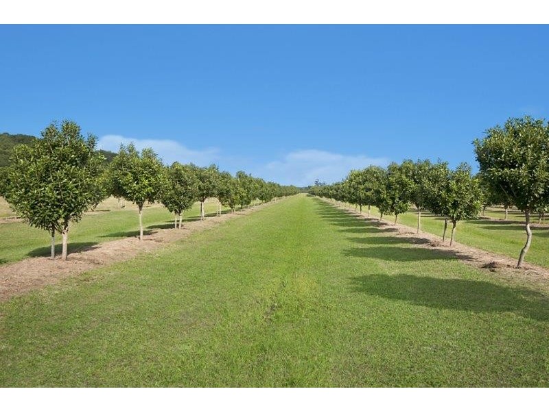 257 North Teven Road, Teven NSW 2478