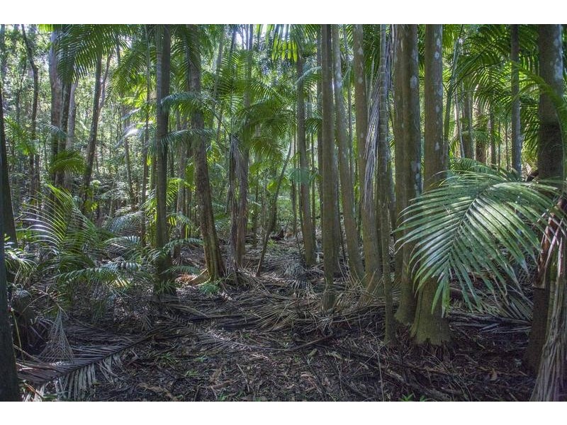 359 Bagotville Road, Meerschaum Vale NSW 2477