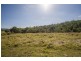 359 Bagotville Road, Meerschaum Vale NSW 2477