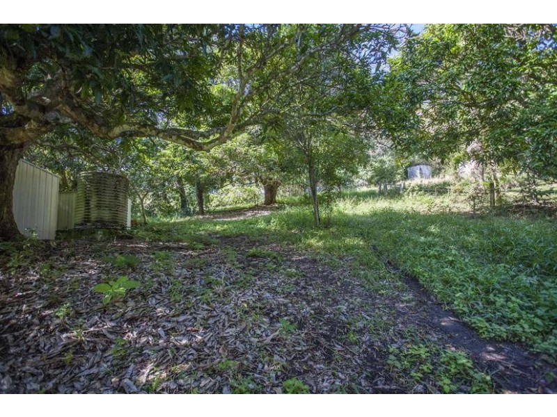 359 Bagotville Road, Meerschaum Vale NSW 2477