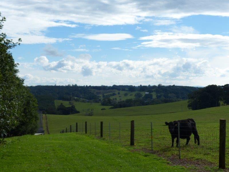 68 Howards Road (access via Teven Rd), Alstonville NSW 2477