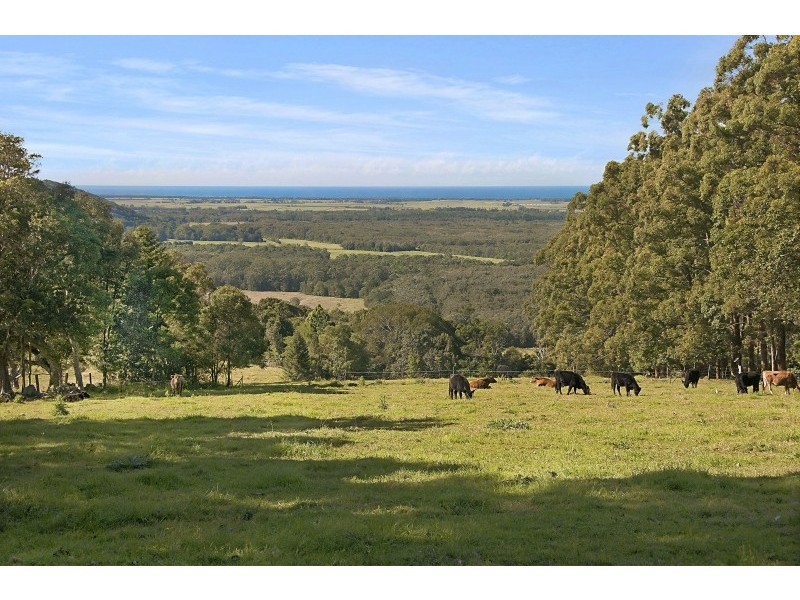 101 Buckombil Mountain Road, Meerschaum Vale NSW 2477