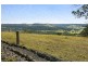101 Buckombil Mountain Road, Meerschaum Vale NSW 2477