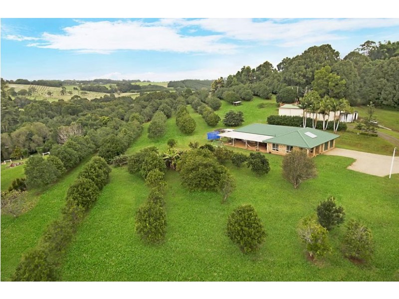 567 Humpty Back Road, Pearces Creek NSW 2477
