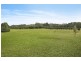 567 Humpty Back Road, Pearces Creek NSW 2477