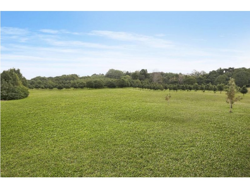 567 Humpty Back Road, Pearces Creek NSW 2477