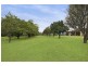 567 Humpty Back Road, Pearces Creek NSW 2477