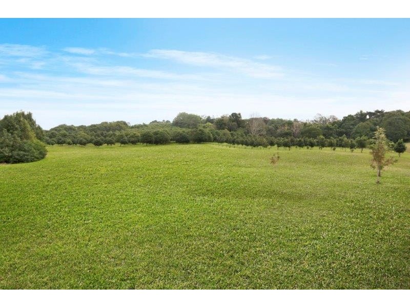 567 Humpty Back Rd, Pearces Creek NSW 2477