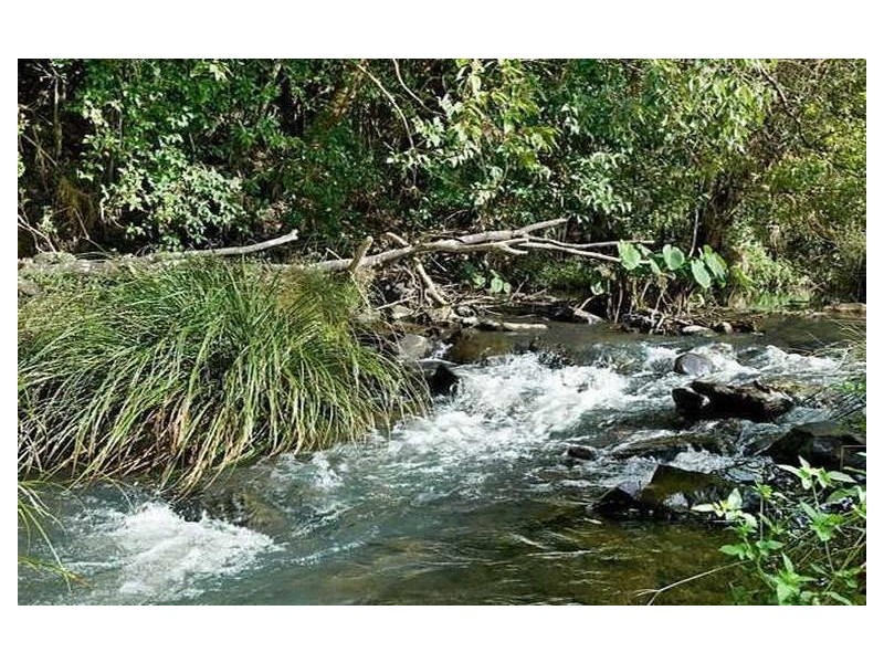 567 Humpty Back Rd, Pearces Creek NSW 2477