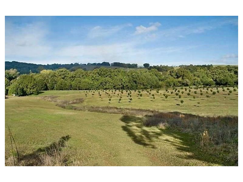 567 Humpty Back Rd, Pearces Creek NSW 2477