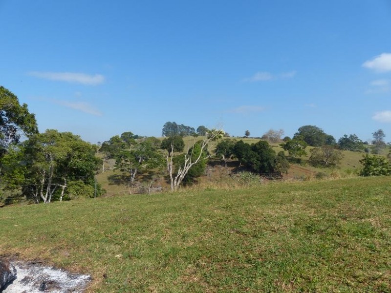 28 Molly’s Grass Road, Tregeagle NSW 2480