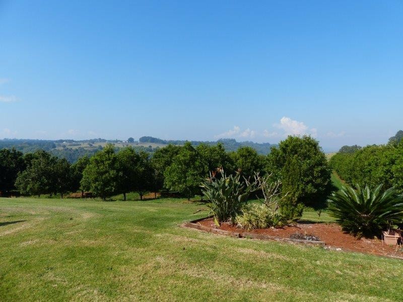 28 Mollys Grass Road, Tregeagle NSW 2480