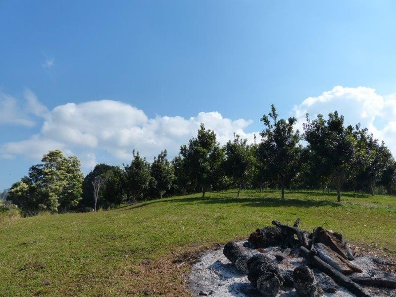 28 Mollys Grass Road, Tregeagle NSW 2480