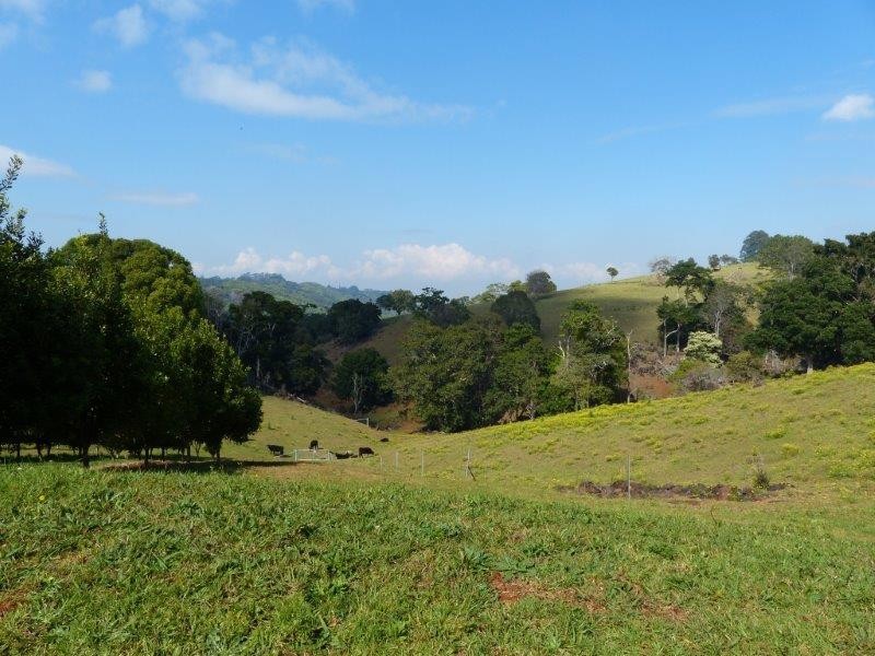 28 Mollys Grass Road, Tregeagle NSW 2480