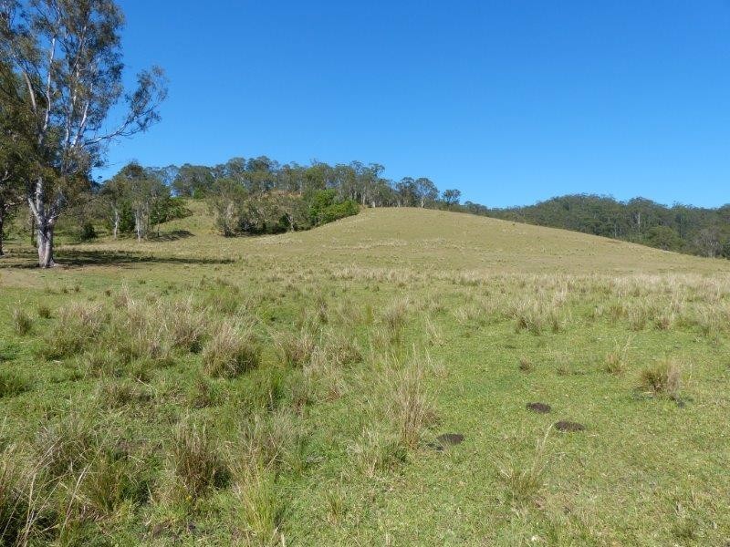 925A Rock Valley Road, Rock Valley NSW 2480