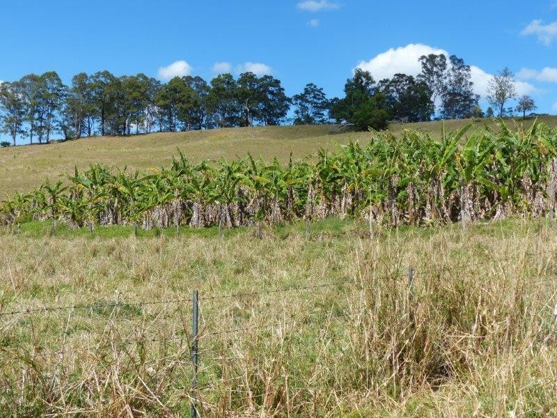 925A Rock Valley Road, Rock Valley NSW 2480